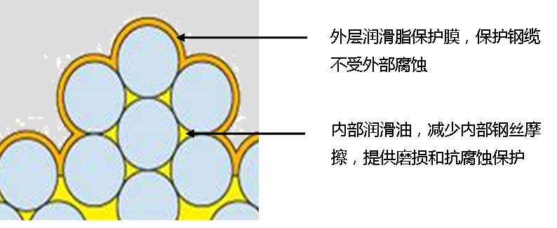 尊龙网址登录官网(中国游)人生就是搏!